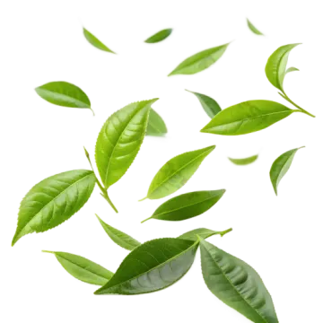 a bunch of green leaves flying in the air