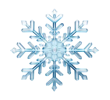 an image of a snowflorer