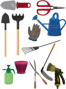 a collection of gardening tools