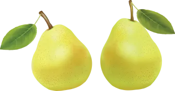 two pears with green leaves on them