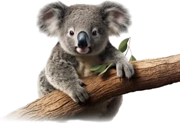 a koloa sitting on top of a branch