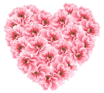 pink flowers in the shape of a heart