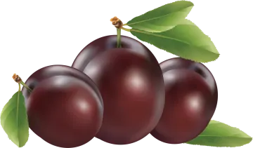 three plums with green leaves