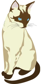 a brown and white cat with blue eyes
