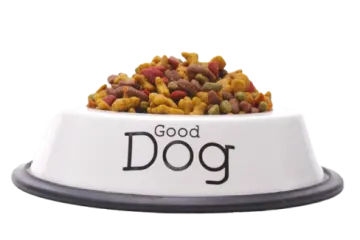 a white bowl filled with dog food