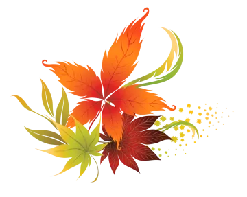 a bunch of autumn leaves on white background
