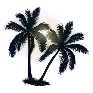 two palm trees on a white background