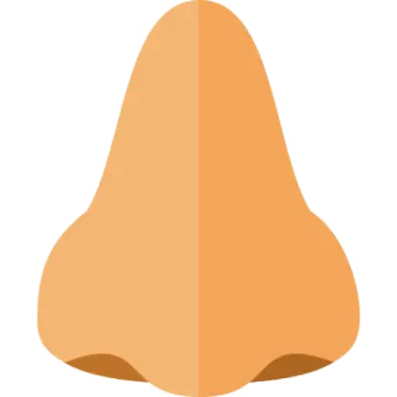 a pear on a white background