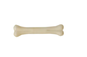 A bone on a white background