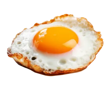 a fried egg on top of toasted bread
