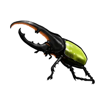 a black beetle with orange and green stripes