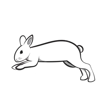 a black and white rabbit running