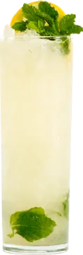 a tall glass filled with lemon and mint