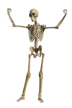 a skeleton with arms outstretched in the air