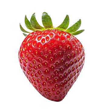 a strawberry on a white background