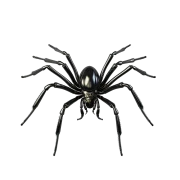 a black widow spider on a white background
