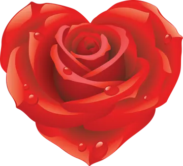 a red rose with water droplets on it