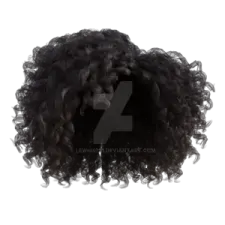a black curly wig on a white background