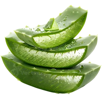 a pile of aloea leaves on a white background