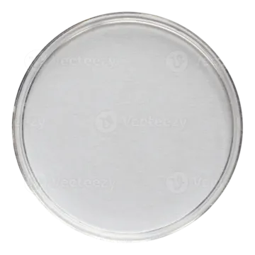 a round glass plate on a white background