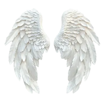 two white wings on a white background