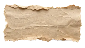 a piece of brown paper with torn edges