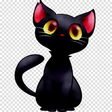 a black cat with yellow eyes sitting on a white background