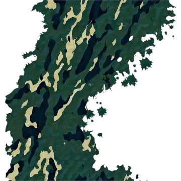 a map of ireland with camouflage cams