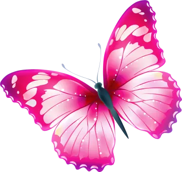 a pink butterfly on white background