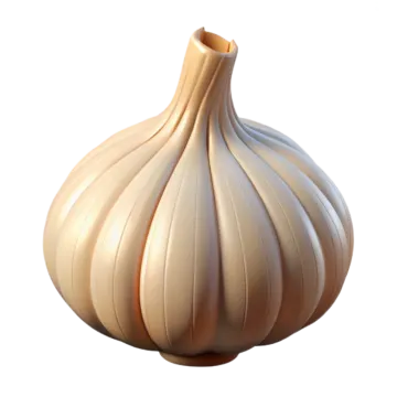 an onion on a white background