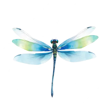 a blue dragon on a white background