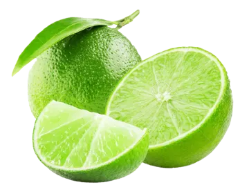 two limes cut in half on a white background