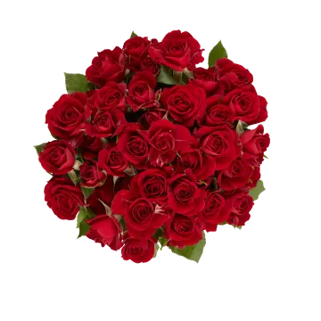 a bouquet of red roses