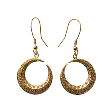 an image of a pair of earrings