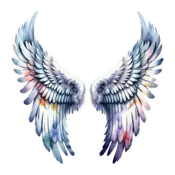 a pair of wings on a white background