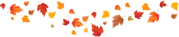 a bunch of leaves flying in the air