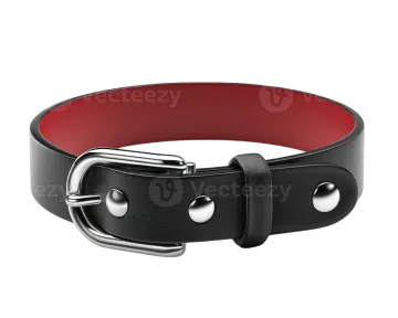 a black and red leather dog collar with silver buckle