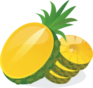 a pine fruit with slices and leaves