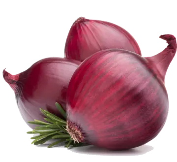 two red onions on a white background