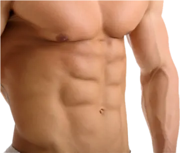 a male torso with no shirt on