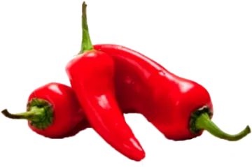 two red peppers on a white background