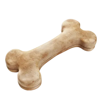 A bone on a white background