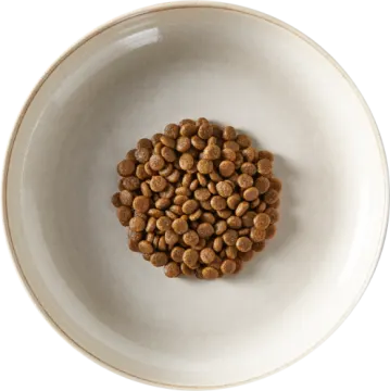 a white bowl filled with dry dog food