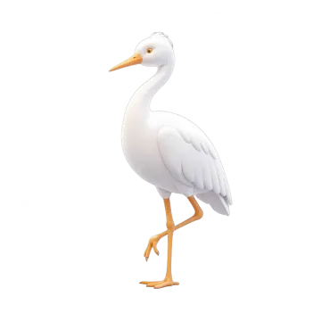 a white bird with an orange beak