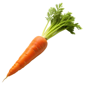 a bunch of carrots on a white background