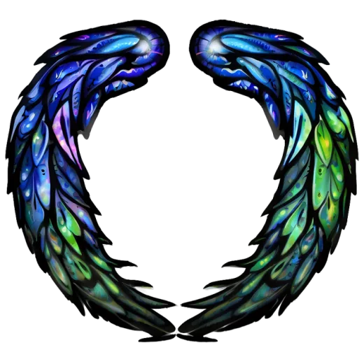 a pair of wings on a white background