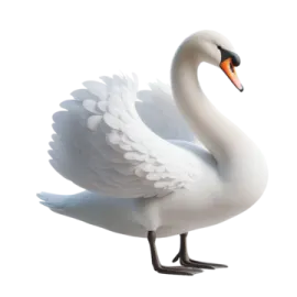 a white swan with its wings spread out