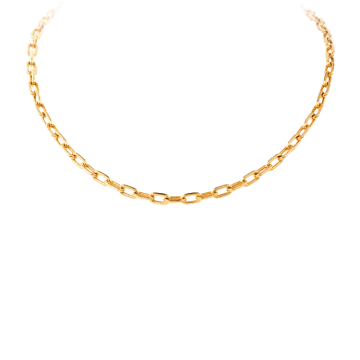 an image of a gold chain necklace