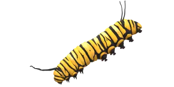 a yellow and black cater cater