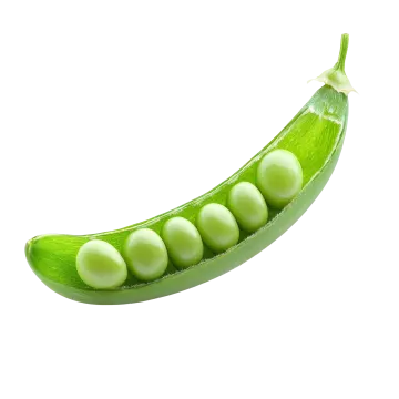 a green peas pod on a white background